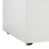 Freezer Horizontal Blanco 220 lt. Modelo "FHP220B", de Patrick. - Imagen 3